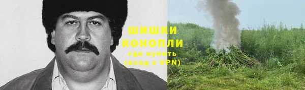 дживик Ростов