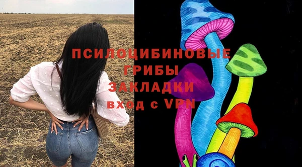 spice Баксан