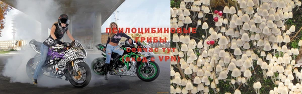 ПСИЛОЦИБИНОВЫЕ ГРИБЫ Балабаново